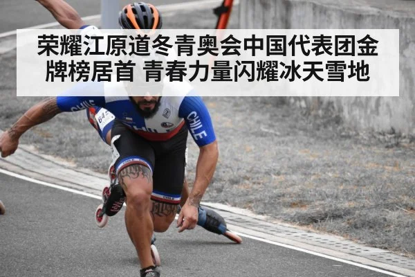 荣耀江原道冬青奥会中国代表团金牌榜居首 青春力量闪耀冰天雪地