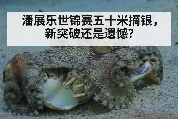 潘展乐世锦赛五十米摘银，新突破还是遗憾？